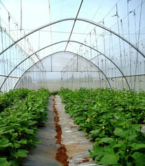 Bootstrap Farmer Greenhouse Woven Plastic 11 mil- Solarig 182 - Green Vista Living
