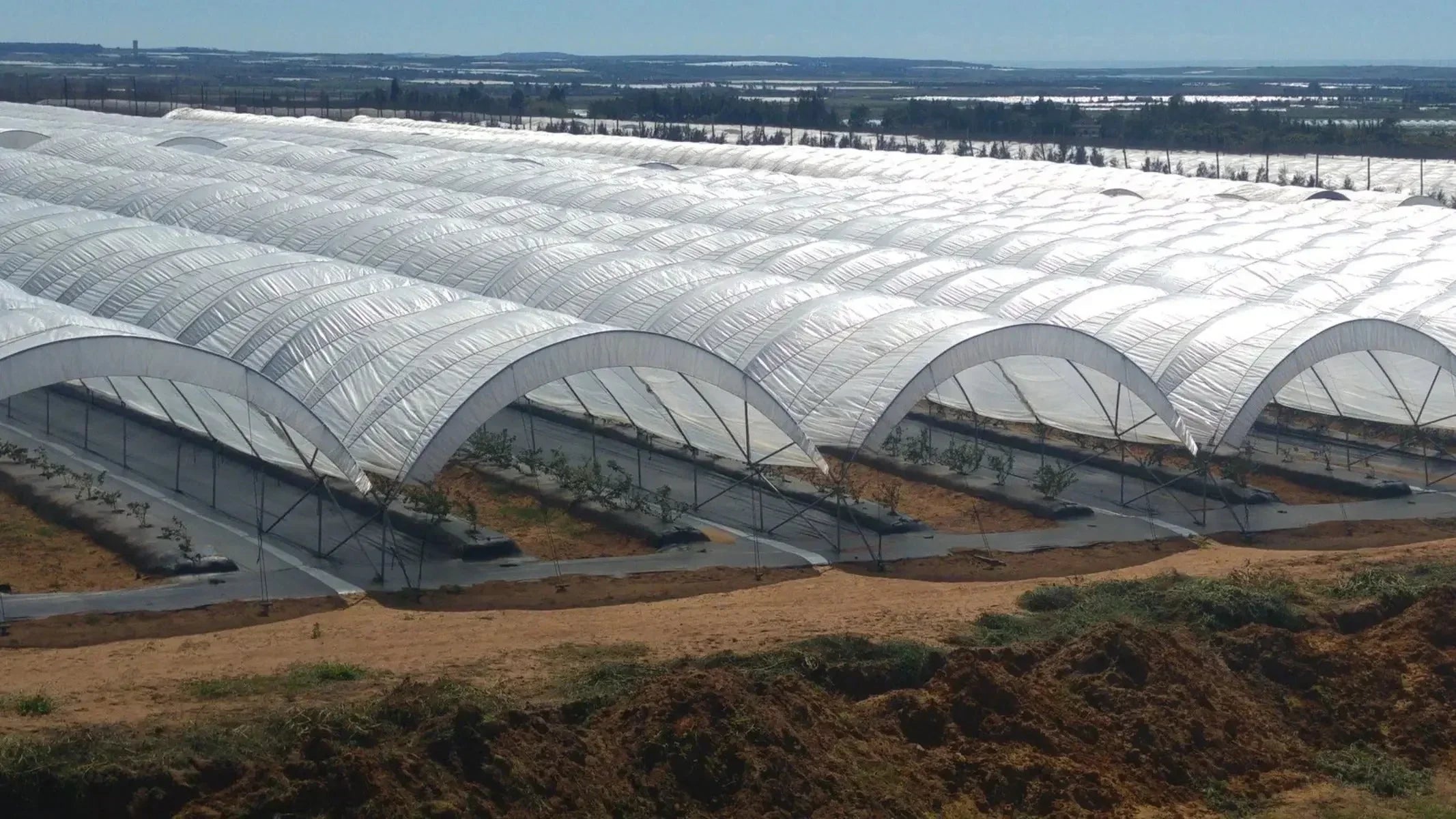 Bootstrap Farmer Greenhouse Woven Plastic 11 mil- Solarig 182 - Green Vista Living