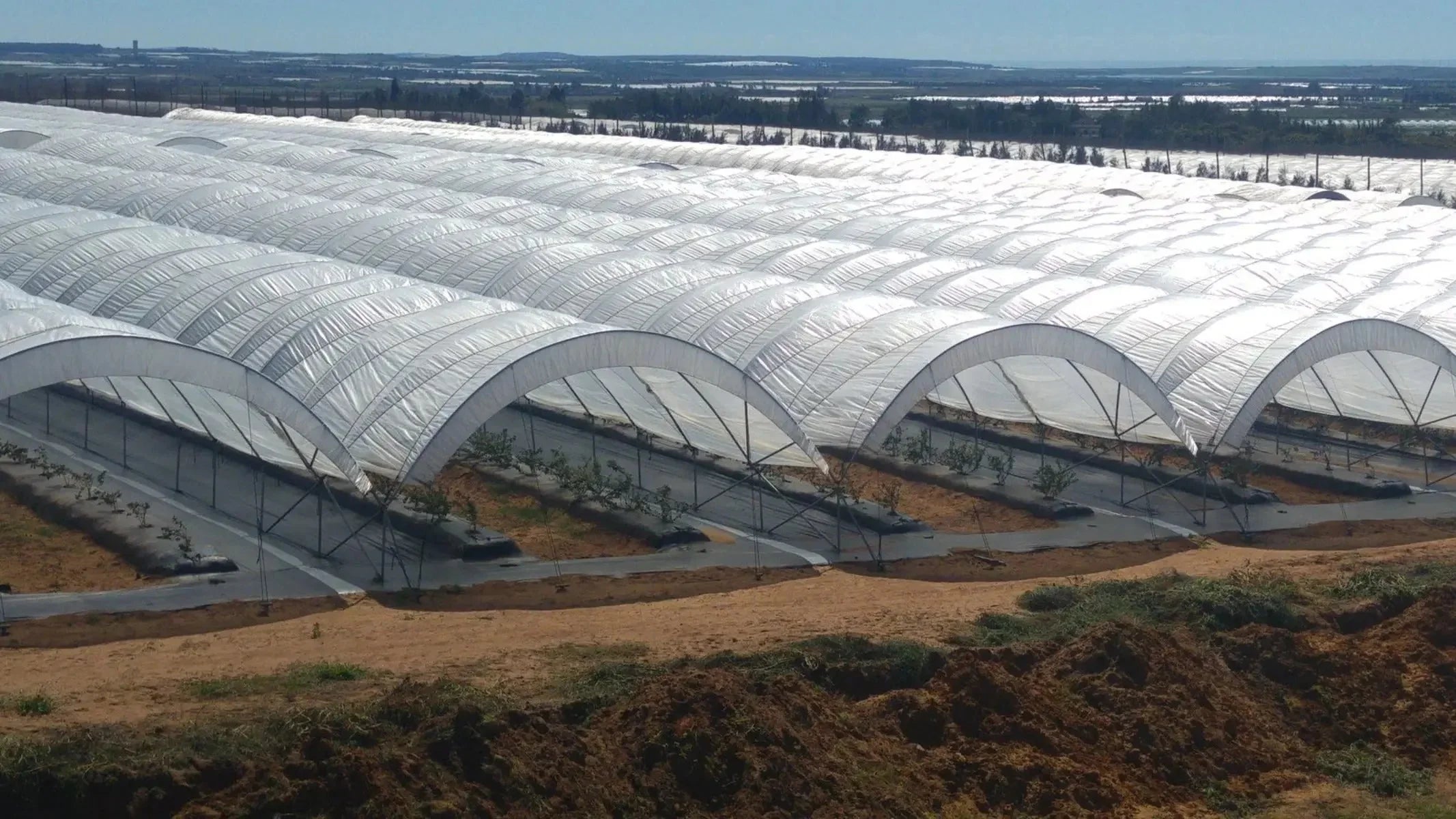 Bootstrap Farmer Greenhouse Woven Plastic 11 mil- Solarig 182 - Green Vista Living