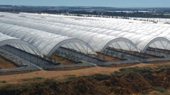 Bootstrap Farmer Greenhouse Woven Plastic 11 mil- Solarig 182