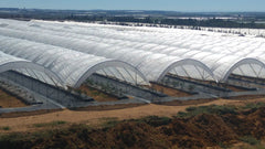 Bootstrap Farmer Greenhouse Woven Plastic 8 mil- Solarig 156