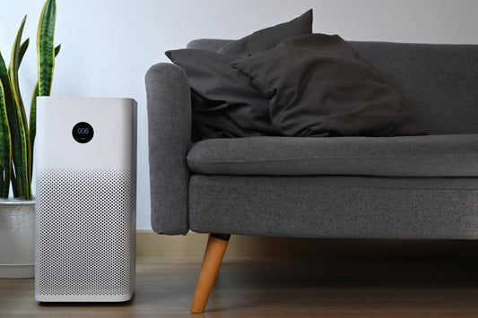 Signs Your Air Purifier Needs Filter Replacement Or Cleaning - Green Vista Living