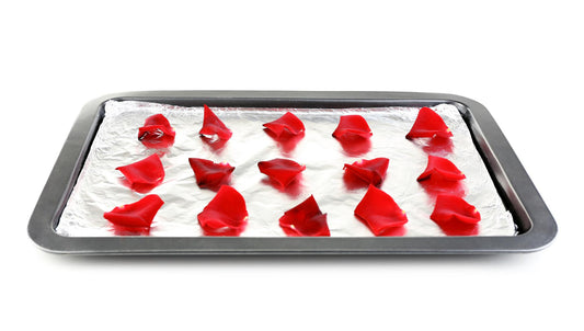 freeze dryer tray