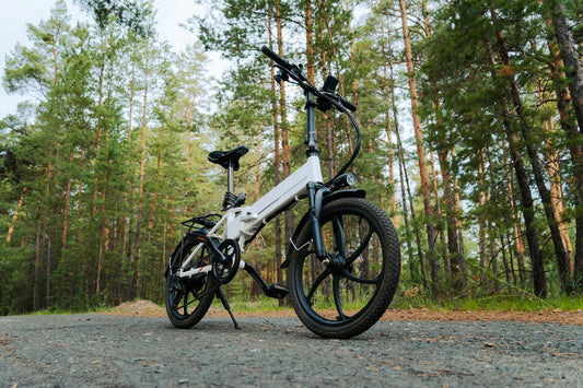 folding electric bike