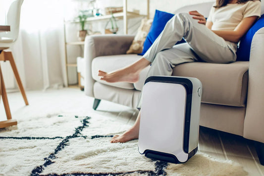 air purifier 