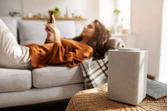 Identifying and Solving Common Problems with Air Purifiers for the Home - Green Vista Living