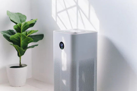 Air Purifiers for Mold: What Works Best? - Green Vista Living