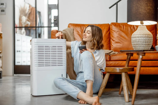 Top Reasons Your Air Purifier May Not Be Working Effectively - Green Vista Living