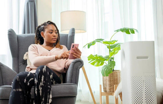 Eco-Friendly Products for Your Home: A Simple Guide - Green Vista Living