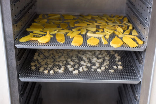 What You Need to Know About Freeze Dryers and Their Components - Green Vista Living