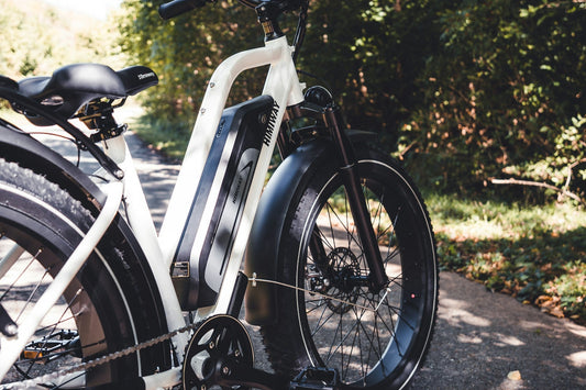  electric bike