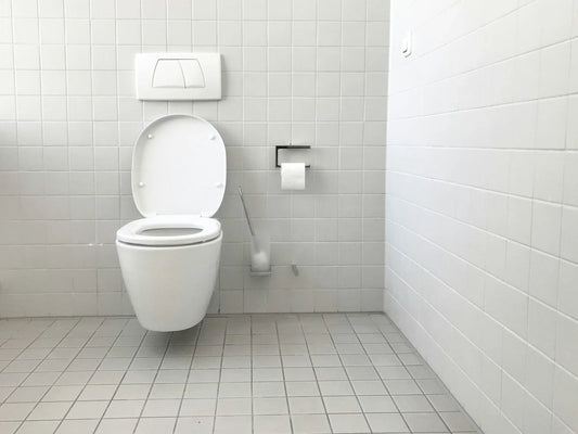 A Guide to Installing and Using Composting Toilet Systems - Green Vista Living