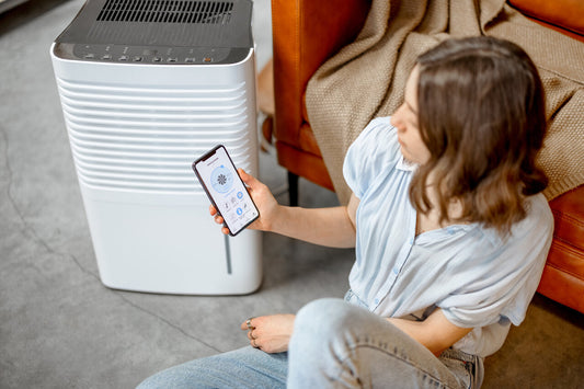 Air Purifier