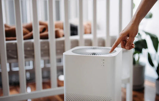 How to Effectively Use Air Purifiers for Different Rooms in Your Home - Green Vista Living