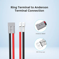 Renogy 5FT 3/0AWG Anderson Adapter Cable Anderson SB350 - Ring Lug