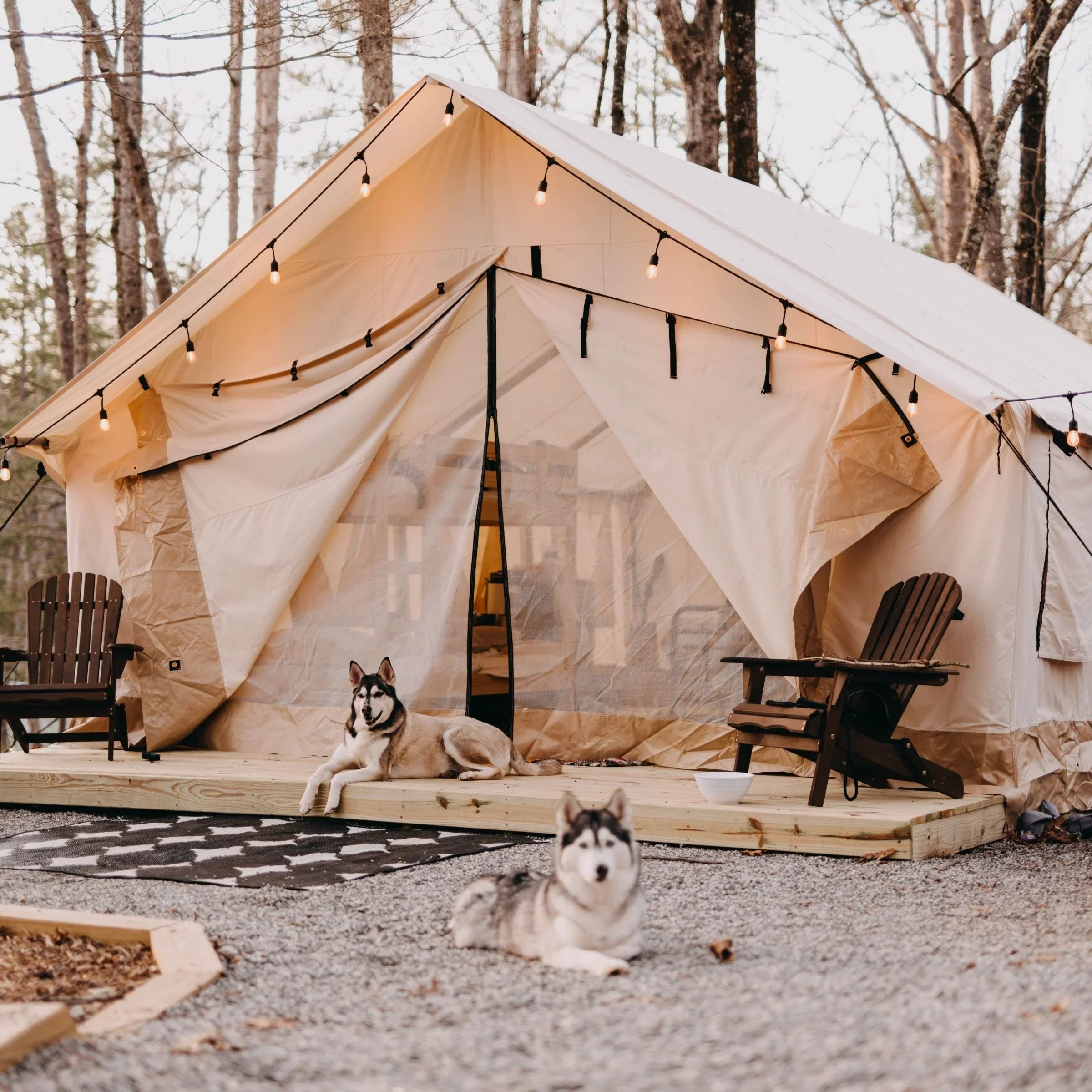 Alpha Wall Tent - Green Vista Living