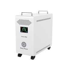 Dory Sentry PRO