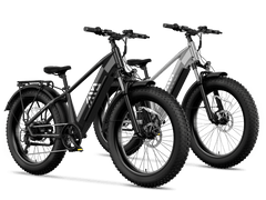 TST® Combo Sale Defender 26" Fat Tire Ebike For Adult