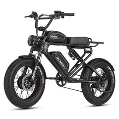 MEELOD DK300 MAX | Dual 1200W Motor, Dual Battery - Green Vista Living