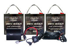 BIG BUNDLE 36v 180Ah- (3) 36V 60AH LITHIUM BATTERY & 36V 15A WATERPROOF CHARGER - Green Vista Living