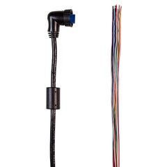 Garmin OnDeck In/Out Data Cable (19-Pin) - Sensor/Relay Output [010-13009-04] Garmin