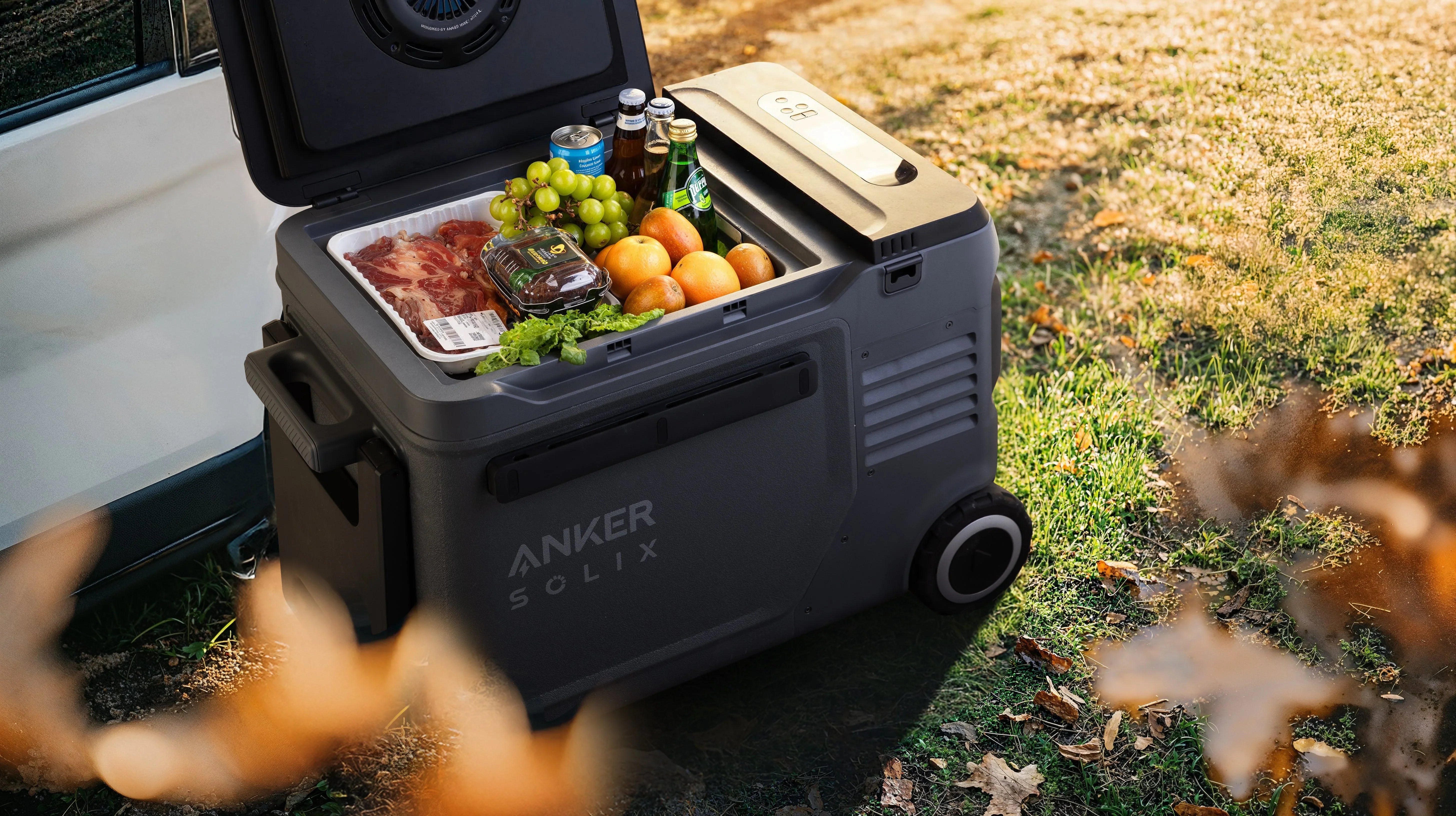 Anker SOLIX EverFrost 2 Cooler 40L w/ 288Wh Battery - Green Vista Living