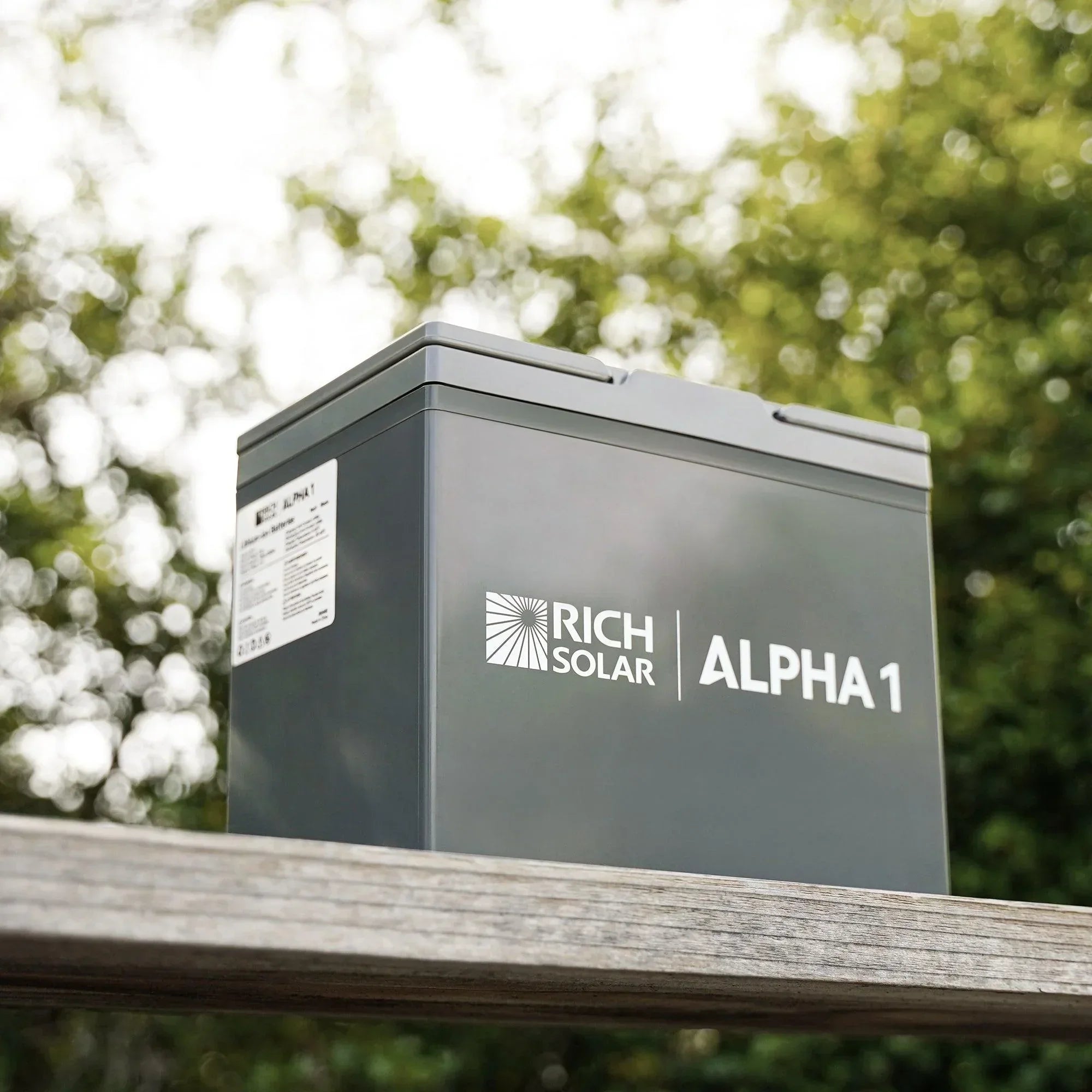 ALPHA 1 | 12V 100Ah LiFePO4 Battery | Powerful 12V Lithium Battery for RVs, Trailers, Vans, Boats, Off-Grid | 5,000 Lifetime Cycles | Bluetooth and Internal Heat Technology - Green Vista Living
