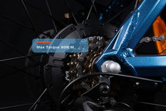 Cyrusher Luxe Fat Tire Electric Bike