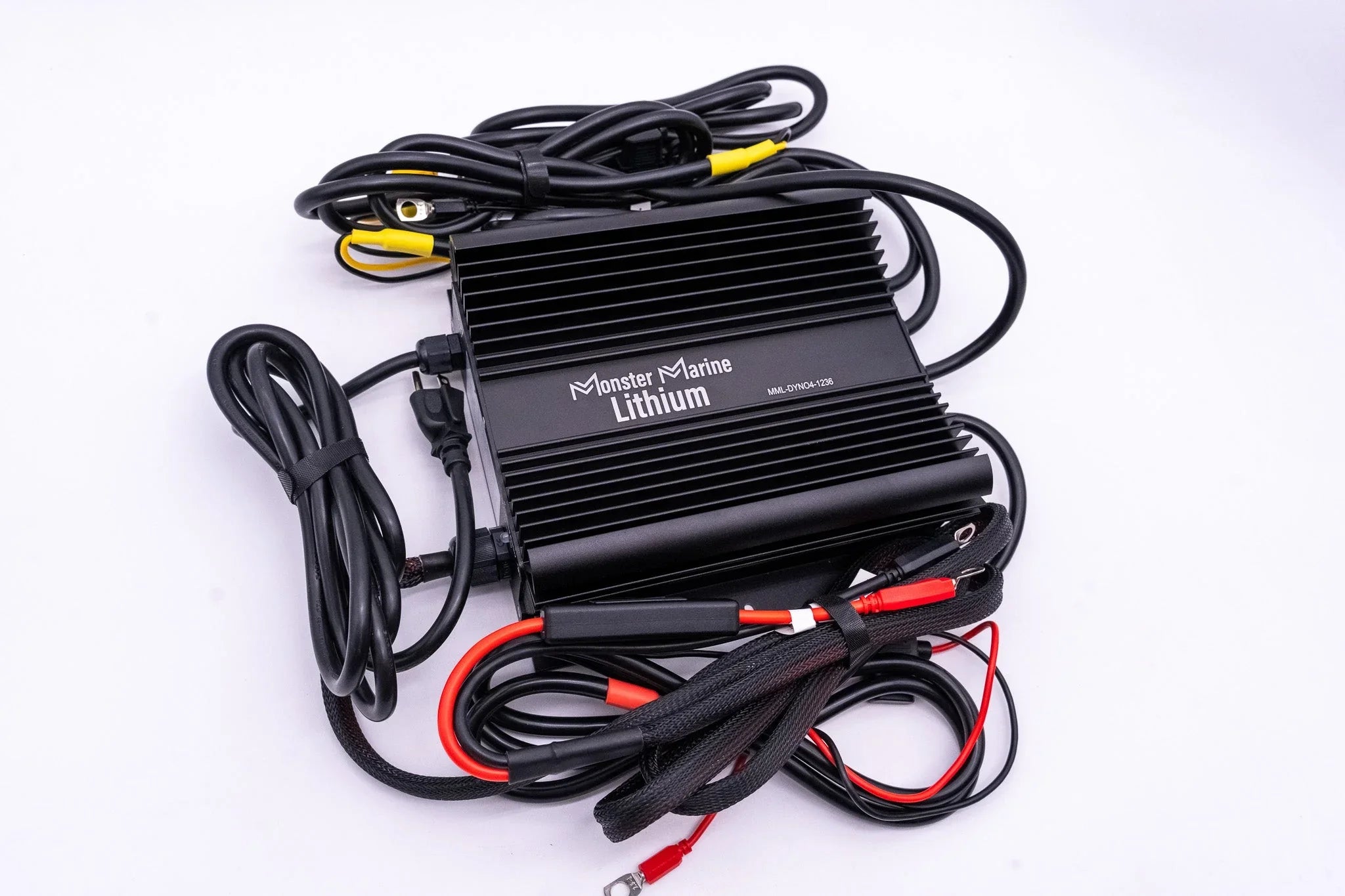 36v DYNO4 Dynamic Charger - Green Vista Living