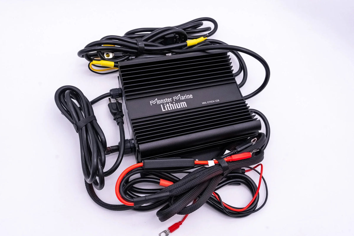 36v DYNO4 Dynamic Charger - Green Vista Living