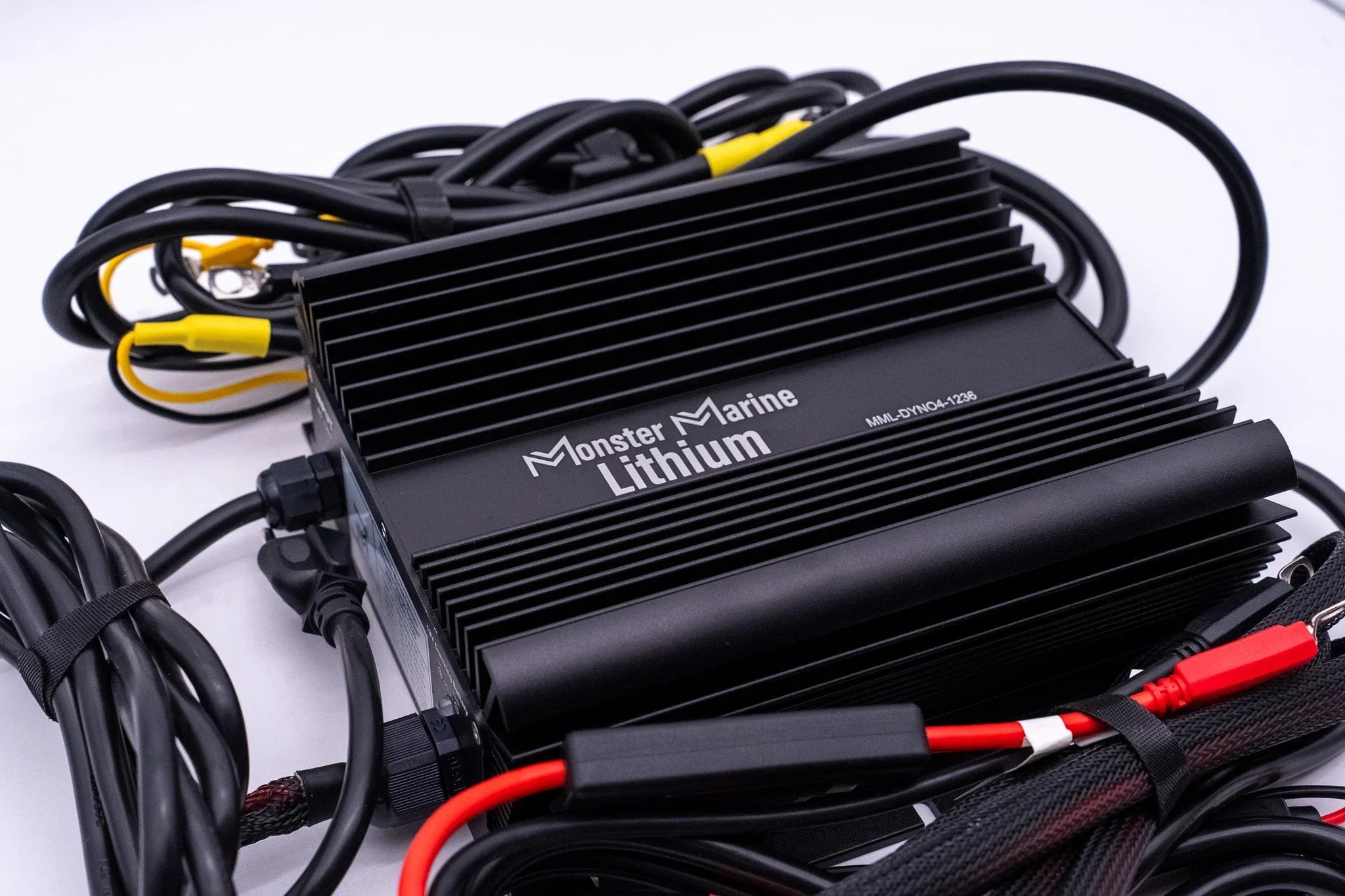 36v DYNO4 Dynamic Charger - Green Vista Living