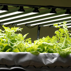 Bootstrap Farmer Dual-Spectrum LED Grow Light | 80 W - Green Vista Living