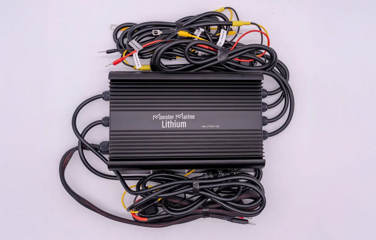 36v - DYNO5 - DYNAMIC CHARGER - Green Vista Living