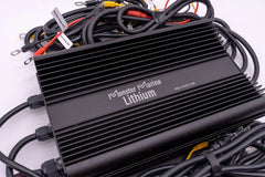 36v - DYNO5 - DYNAMIC CHARGER - Green Vista Living