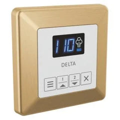 Delta SteamScape Square Control