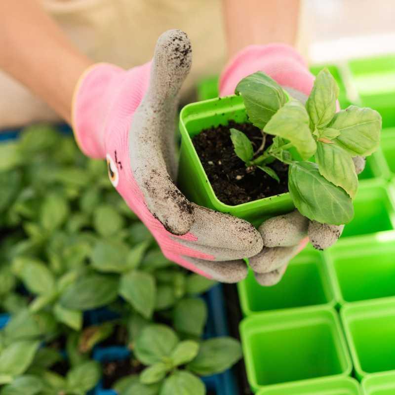 Bootstrap Farmer Classroom Seed Starting Bundle - Green Vista Living