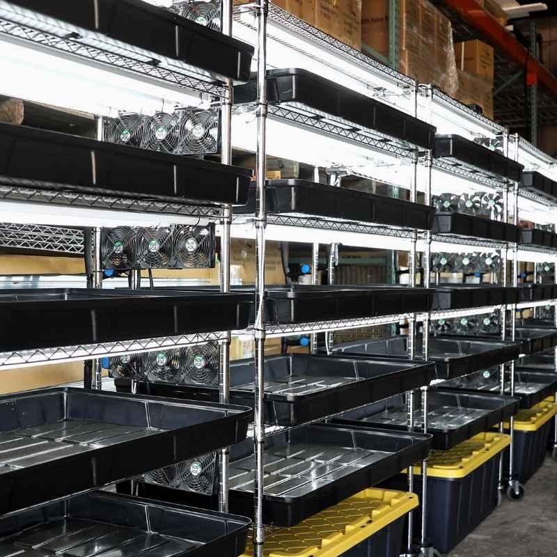 Bootstrap Farmer Grow Rack - Automated Vertical Propagation Rack - Green Vista Living