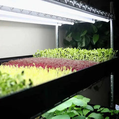 Bootstrap Farmer Grow Rack - Automated Vertical Propagation Rack - Green Vista Living