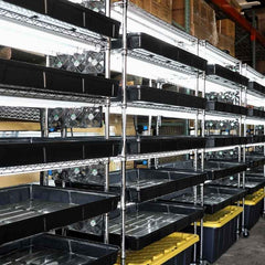 Bootstrap Farmer Grow Rack - Automated Vertical Propagation Rack - Green Vista Living
