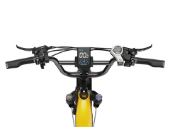 Heybike Hauler