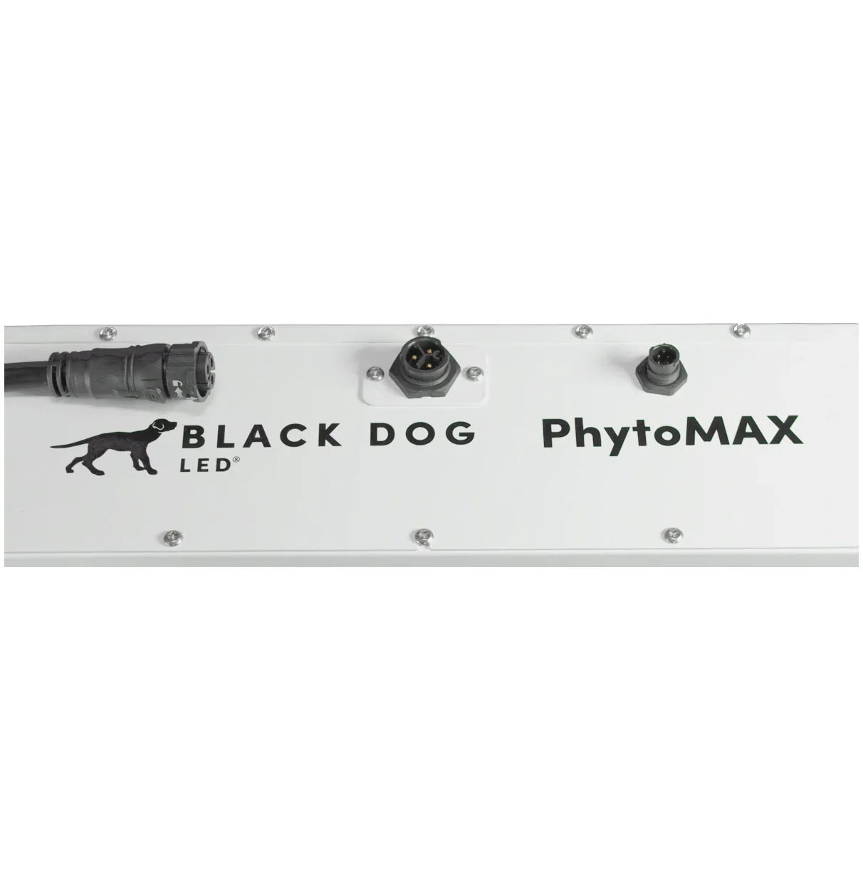 Black Dog 1250W PhytoMax-4 20S LED Grow Light - Green Vista Living