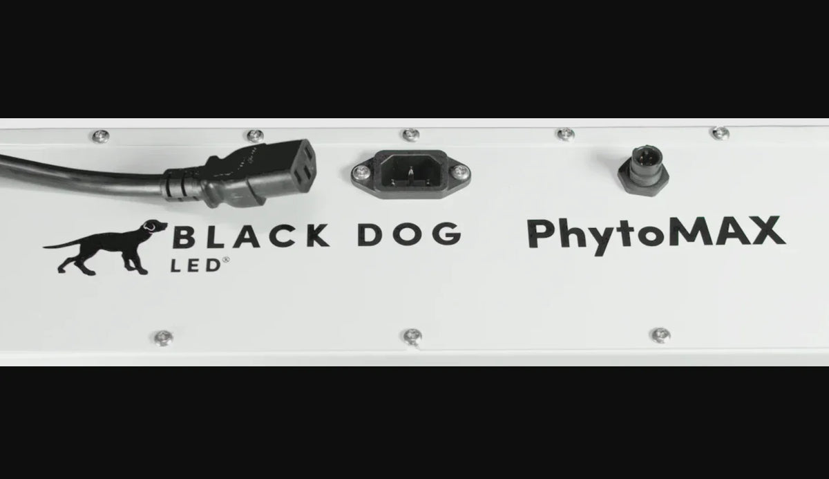 Black Dog 1500W PhytoMax-4 24S LED Grow Light - Green Vista Living
