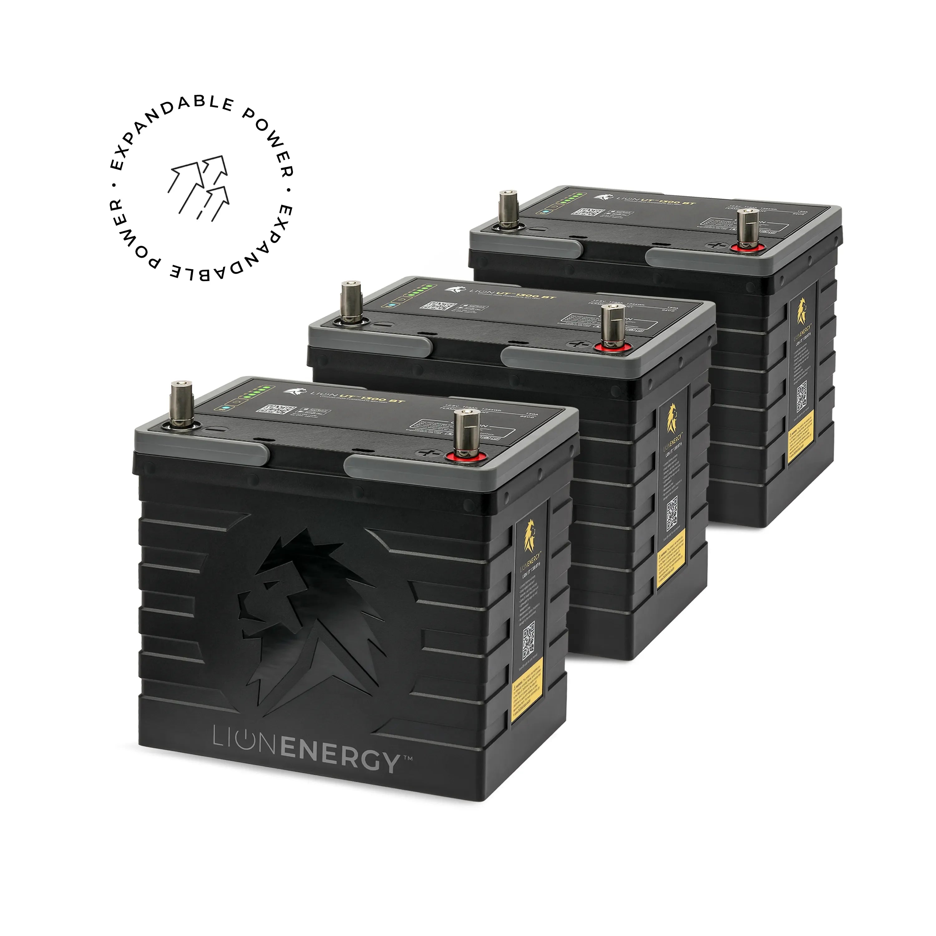 Lion Energy UT 1300 BT - Green Vista Living