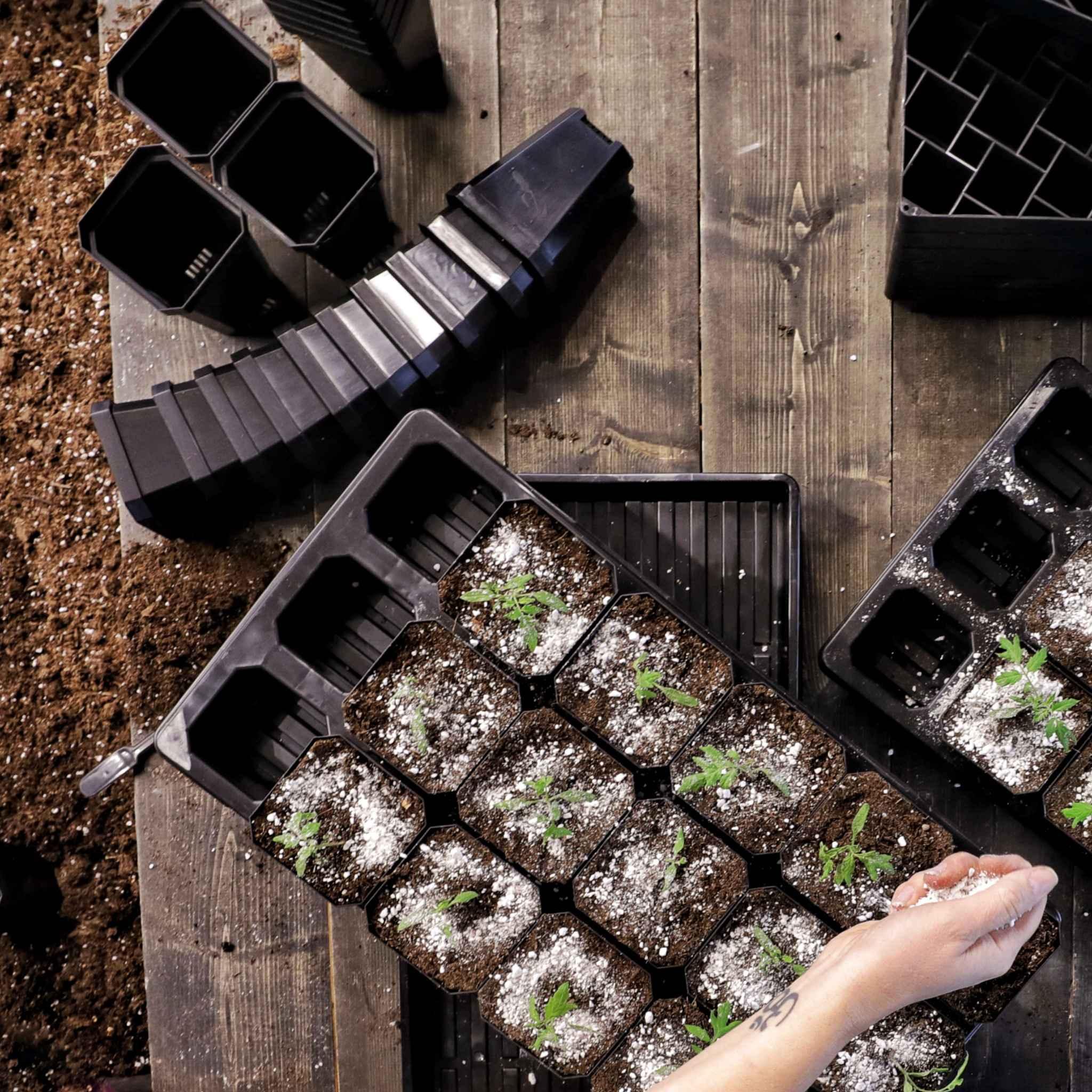 Bootstrap Farmer The Market Gardener Seed Starting Bundle - Green Vista Living