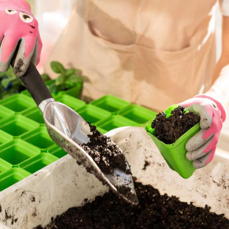 Bootstrap Farmer Classroom Seed Starting Bundle - Green Vista Living