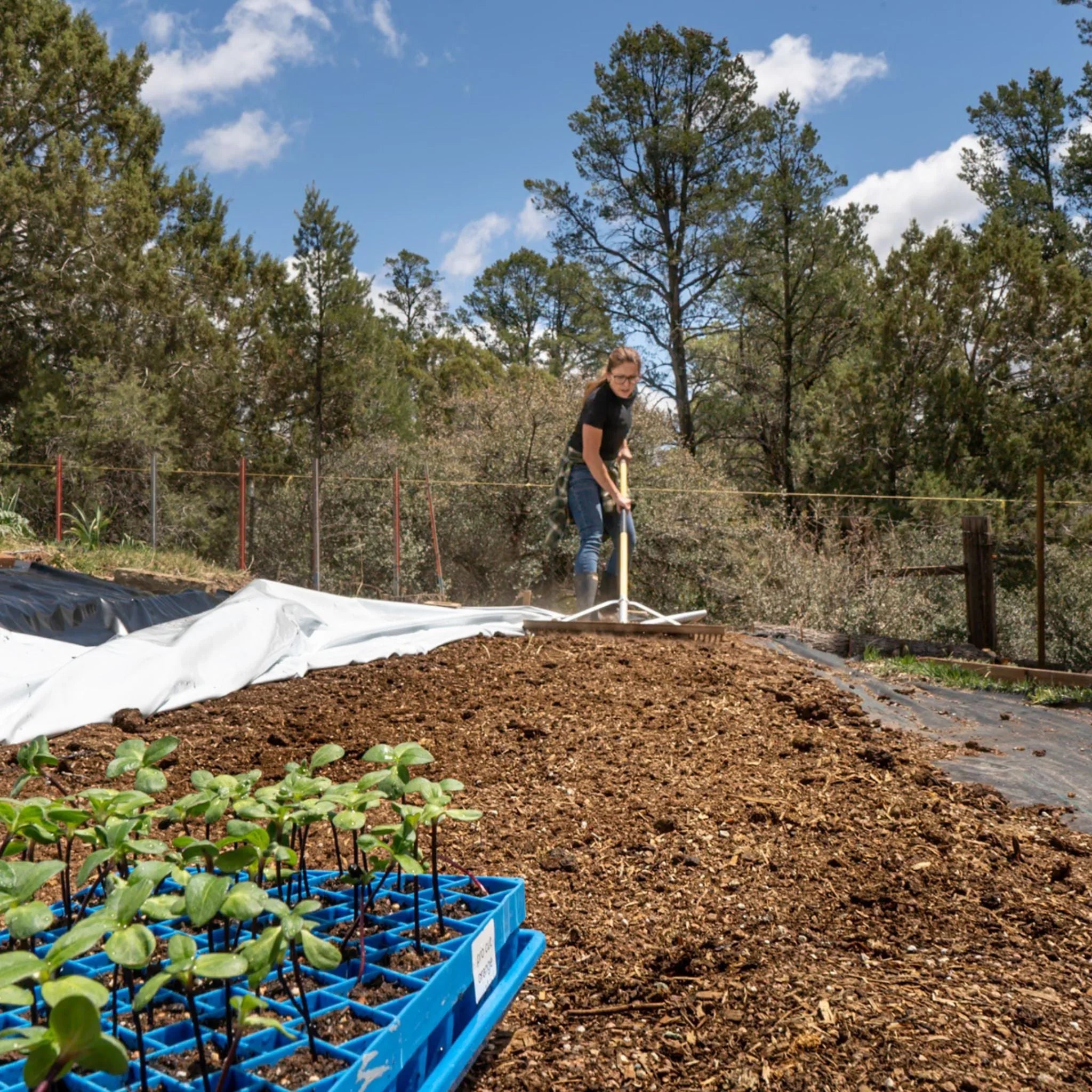 Bootstrap Farmer Silage Tarp - 6 mil Reversible Black & White - Green Vista Living