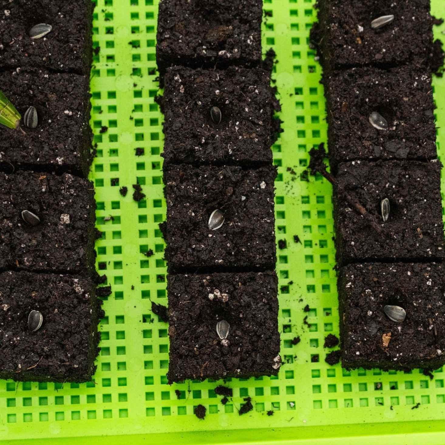Bootstrap Farmer Soil Blocking Starter Kit - Green Vista Living