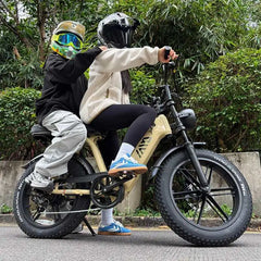 TST® R7 Moped Style 1500W Full Suspension Electric Cargo Bike | 2026 New Model