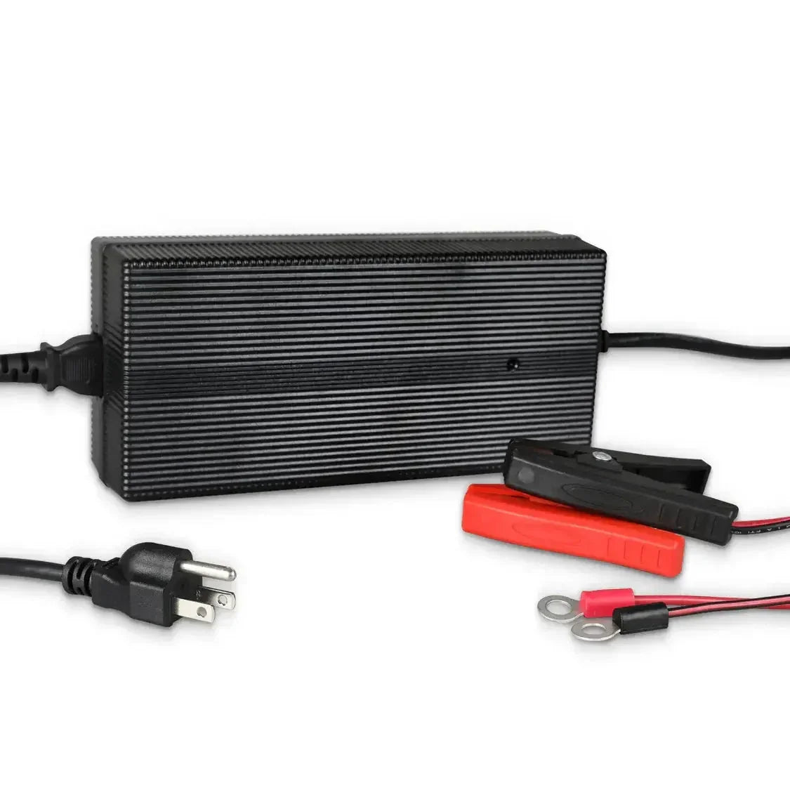 Renogy 12V 20A/24V 10A AC-to-DC LFP Portable Battery Charger - Green Vista Living