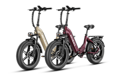 Heybike Ranger S 1000W Combo